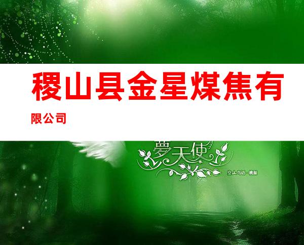 稷山县金星煤焦有限公司
